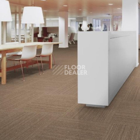 Forbo Tessera Layout & Outline 3104 Souffle фото 2 | FLOORDEALER